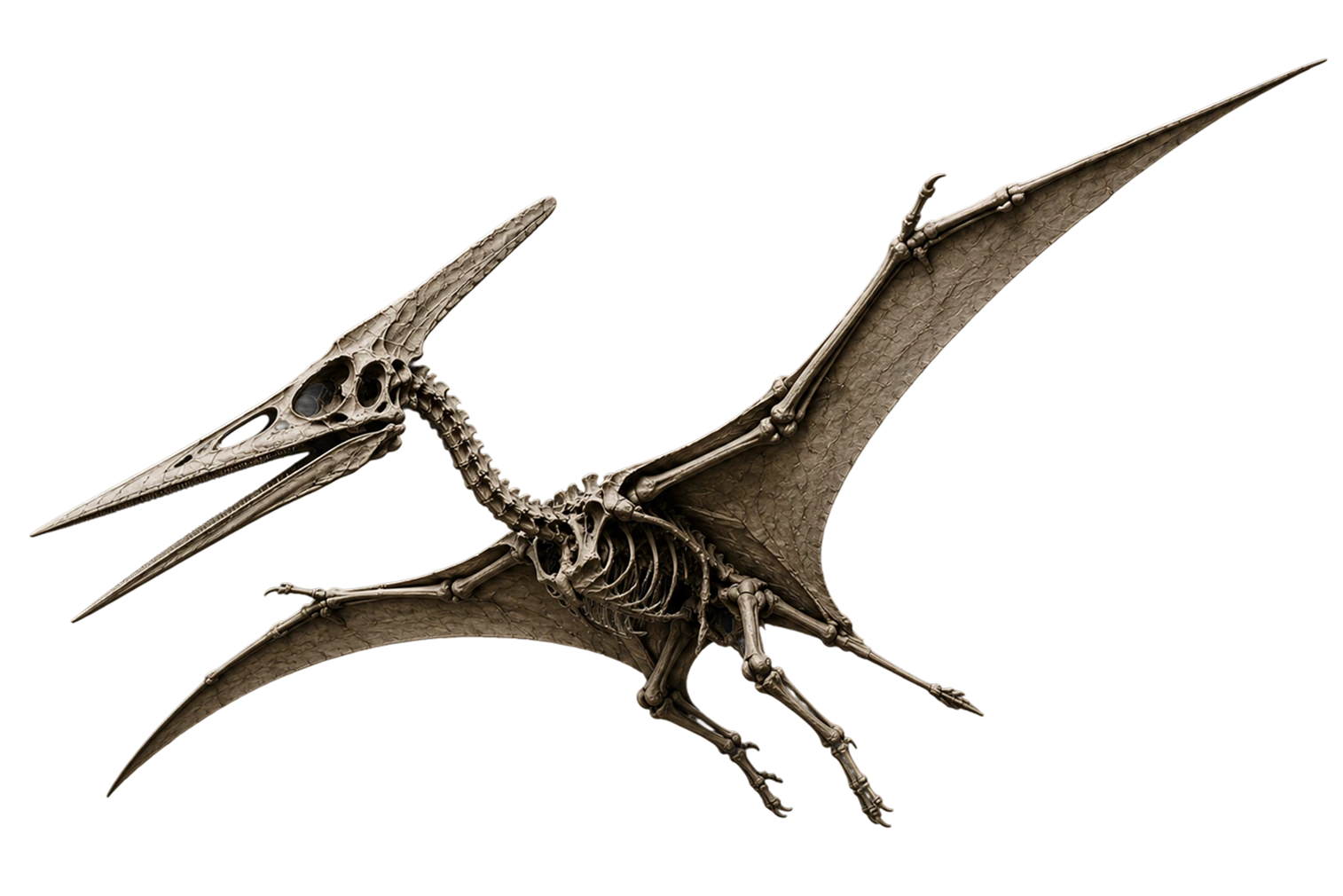 Pterodactyl